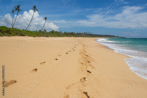 Beautiful beach. View of nice tropical beach with palms around. Holiday and vacation concept. Tropical beach.