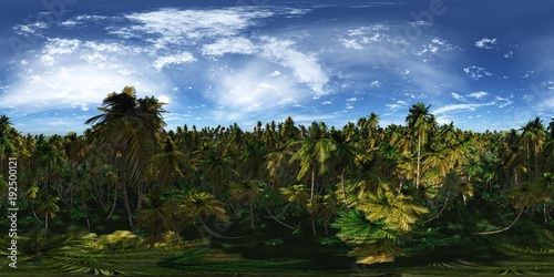 Fototapeta Naklejka Na Ścianę i Meble -  HDRI, high resolution map, environment map, Round panorama, spherical panorama, equidistant projection, tropical forest
