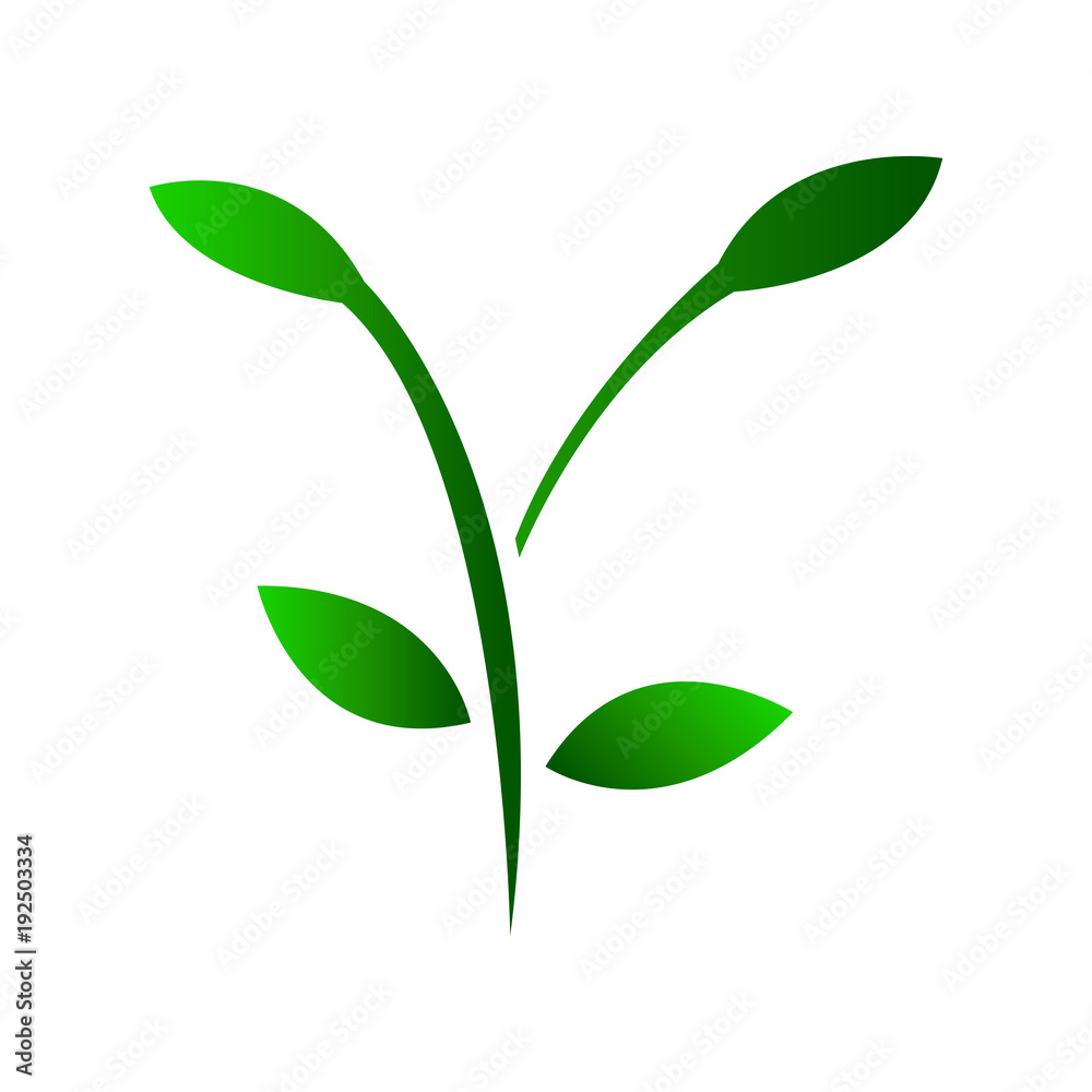 Obraz premium Isolated spa logo