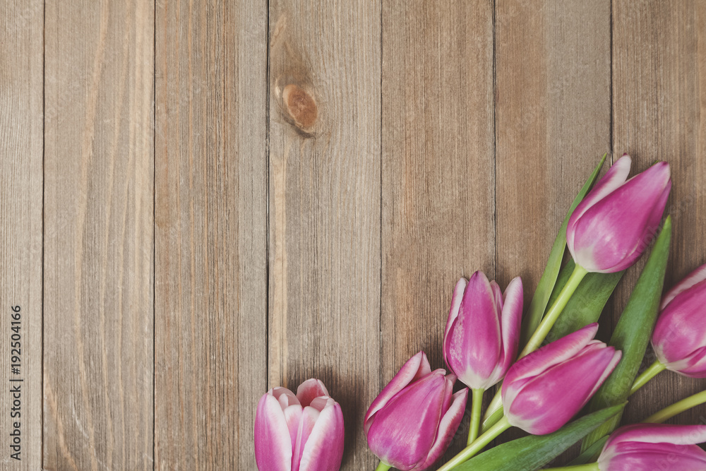 Spring Tulips Background