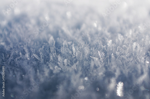 Snowflakes Winter Landscape Harz National Park © Ricardo