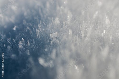 Snowflakes Winter Landscape Harz National Park