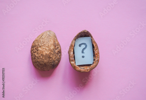 The question mark in the shell of a nut on a pink background. photo