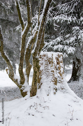Zauberhaftes Winterszene