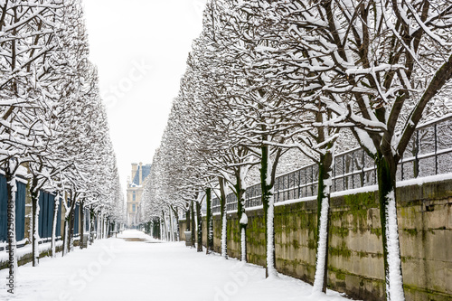 Winter in Paris in the snow. View of a tree lined alley covered in snow in the Tuileries garden with the Marsan pavilion of the Louvre palace in the distance. photo