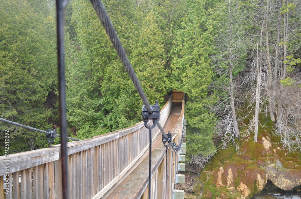 Fototapeta premium bridge