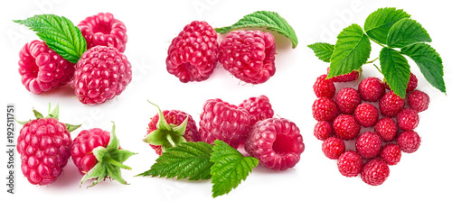 Set berry raspberry with green leaf. Collection fruit still life