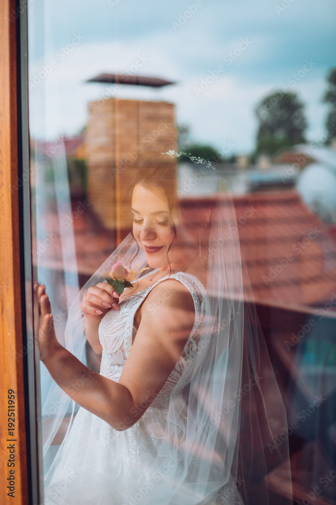 Bride's morning. Fine art wedding. Portrait of a young beautiful sexy tender bride with red lips in white lace wedding dress gracefully put hand on veil. Veil is thrown over her face. Bride's morning. Fine art wedding. Portrait of a young beautiful sexy tender bride with red lips in white lace wedding dress gracefully put hand on veil. Veil is thrown over her face.