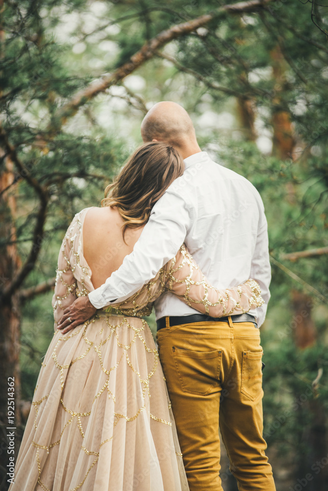 loving couple hugging in the forest golden dress