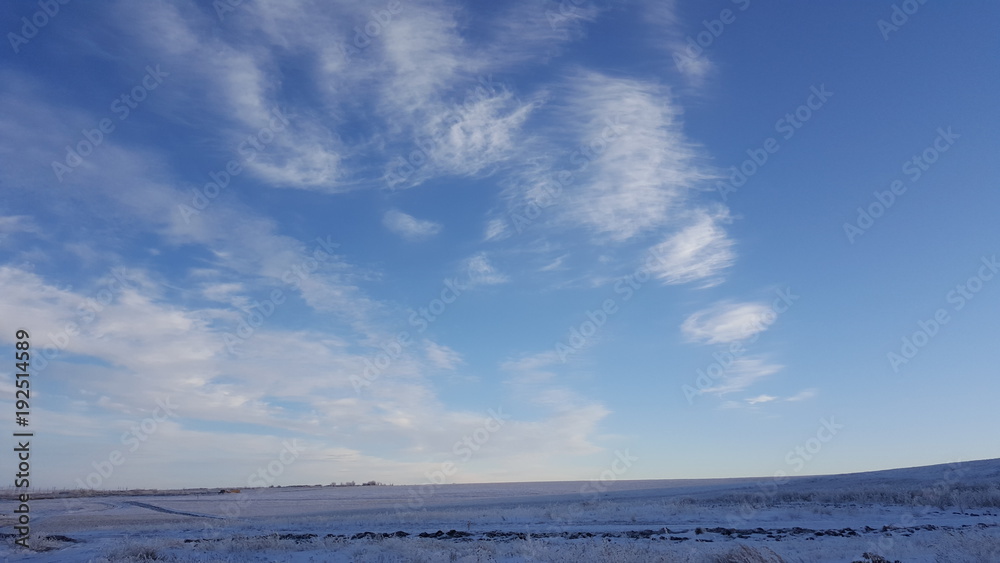 Amazing deep blue sky with cirrus feather-shaped clouds over dry grassland - nature background. Cirrus clouds over the grass field in winter