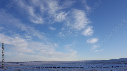 Amazing deep blue sky with cirrus feather-shaped clouds over dry grassland - nature background. Cirrus clouds over the grass field in winter