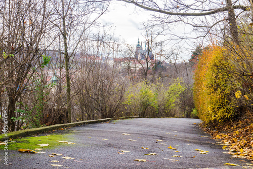 A road in the beautiful park Letna in Prague, Czech republic photo