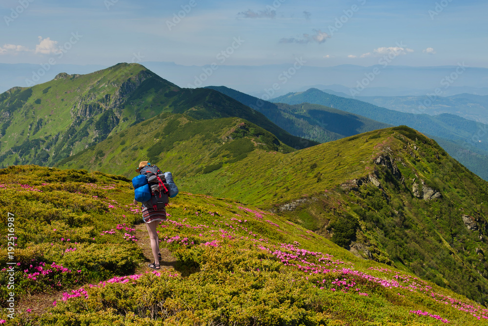 Trekker woman walking on the flowers field in the mountain