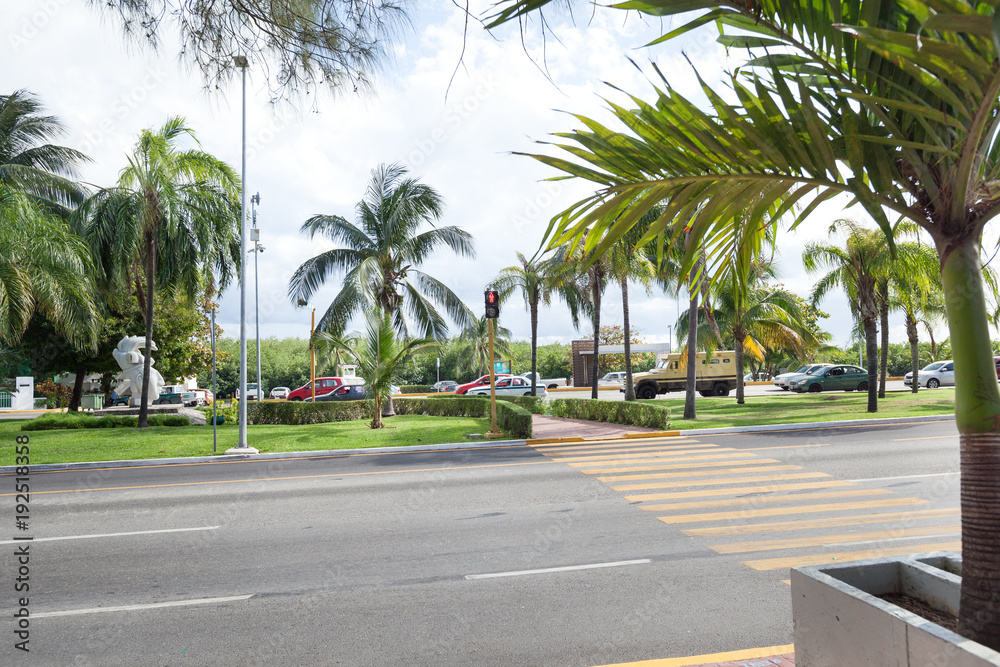Pedestrian crossing on tropical road