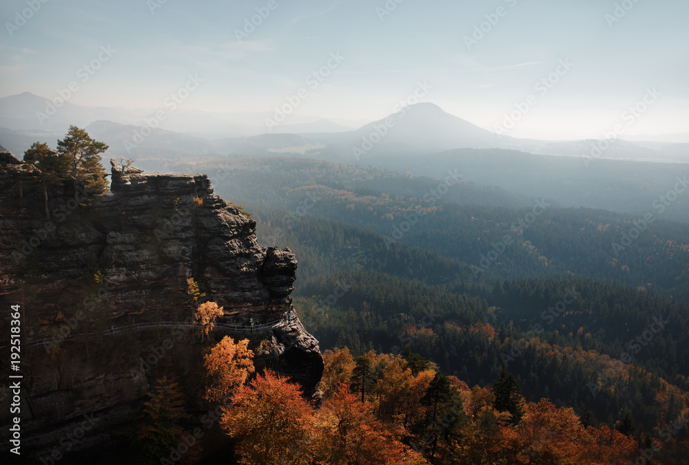 A view of the mountainside. Trees in autumn