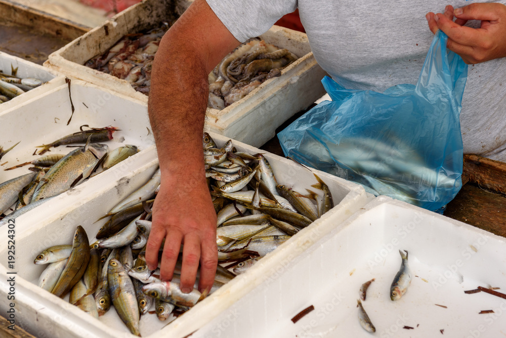 Fresh fish on sale on seaside promenade. Zakynthos island, Greece