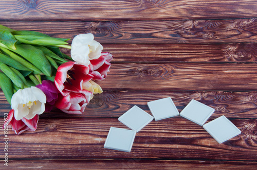 Fresh spring tulip bouquet laying on wooden table near five blank squares for text