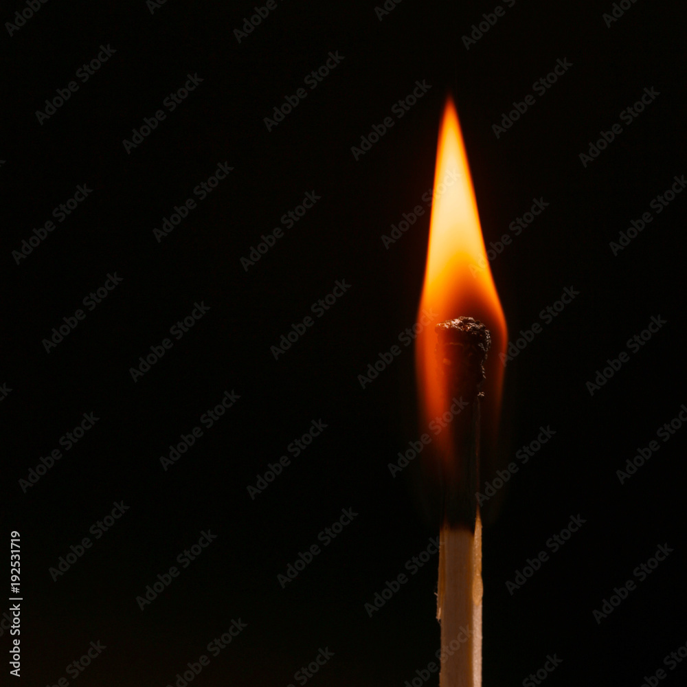 An igniting match against black background An igniting match against black background