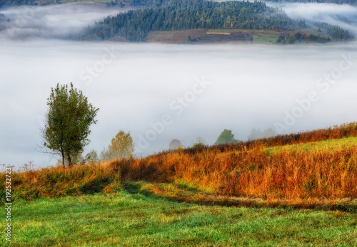 autumn morning. a picturesque dawn in the Carpathian Mountains