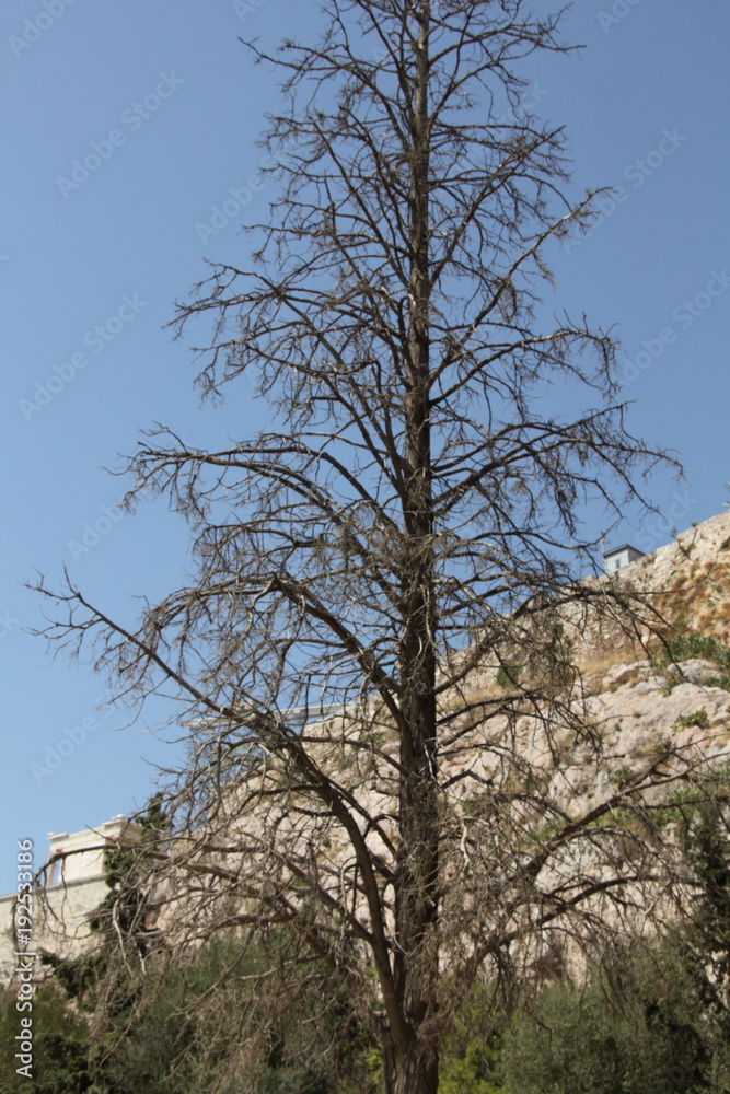 The Acropolis of Athens