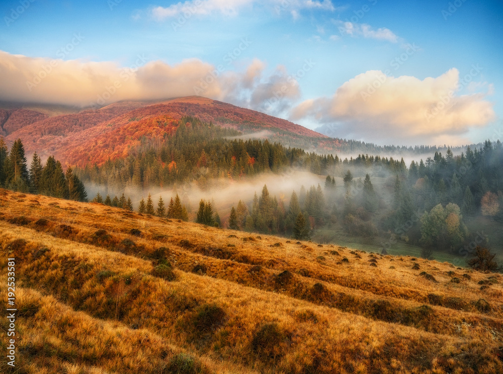 autumn morning. a picturesque dawn in the Carpathian Mountains autumn morning. a picturesque dawn in the Carpathian Mountains