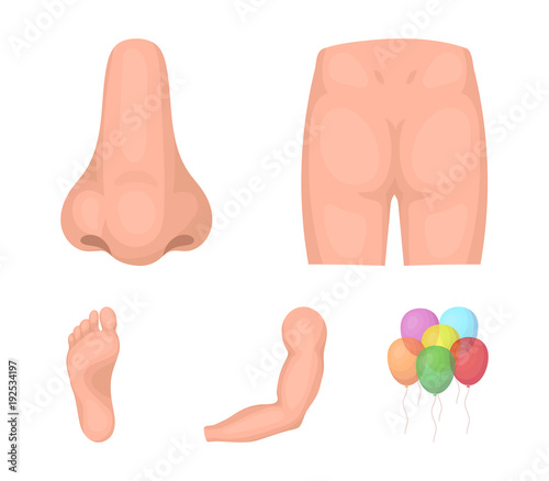 Buttocks, nose, arm, foot. Part of the body set collection icons in cartoon style vector symbol stock illustration web.