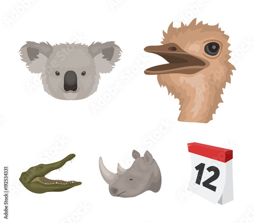 Ostrich, koala, rhinoceros, crocodile, realistic animals set collection icons in cartoon style vector symbol stock illustration web. photo