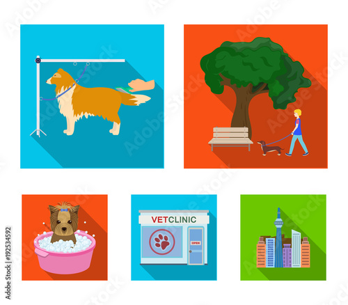 Walking with a dog in the park, combing a dog, a veterinarian's office, bathing a pet. Vet clinic and pet care set collection icons in flat style vector symbol stock illustration web.