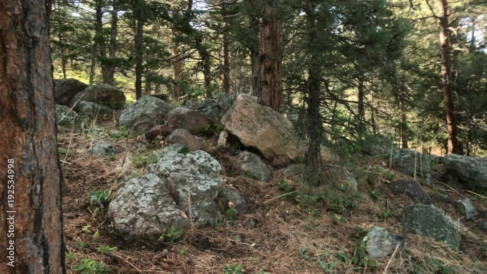 Slow pan from closeup texture of a boulder to an evergreen forest in Boulder Colorado. Slow pan from closeup texture of a boulder to an evergreen forest in Boulder Colorado.