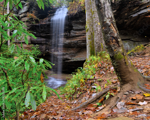 Moore Cove Falls