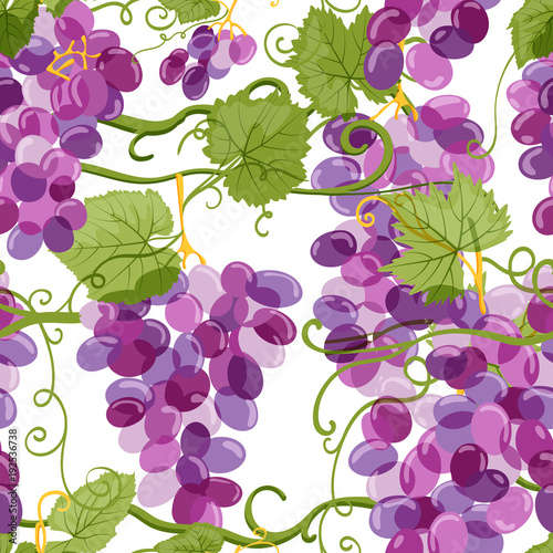 Vector grapes vine seamless pattern. Vineyard hand drawn illustration on whit...