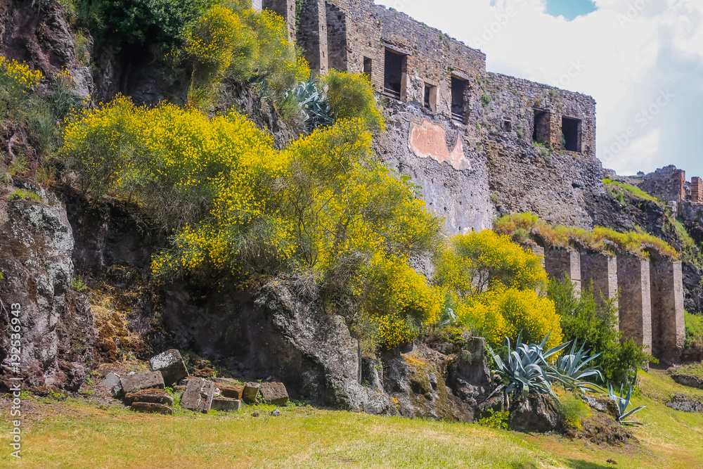 Pompeii ruins, Italy - spring time, blooming bushes