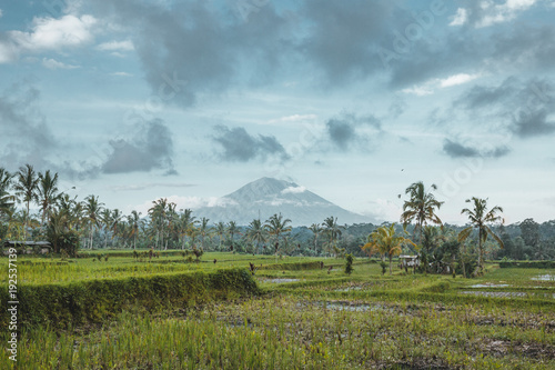 Bali Volcano landscape