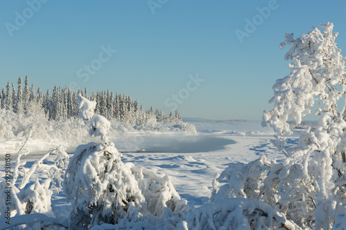Alaskan Winter Landscape photo