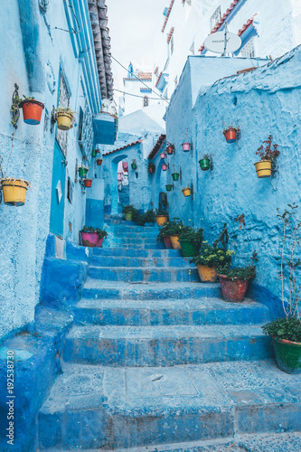 Chefchaouen Morocco blue flower street