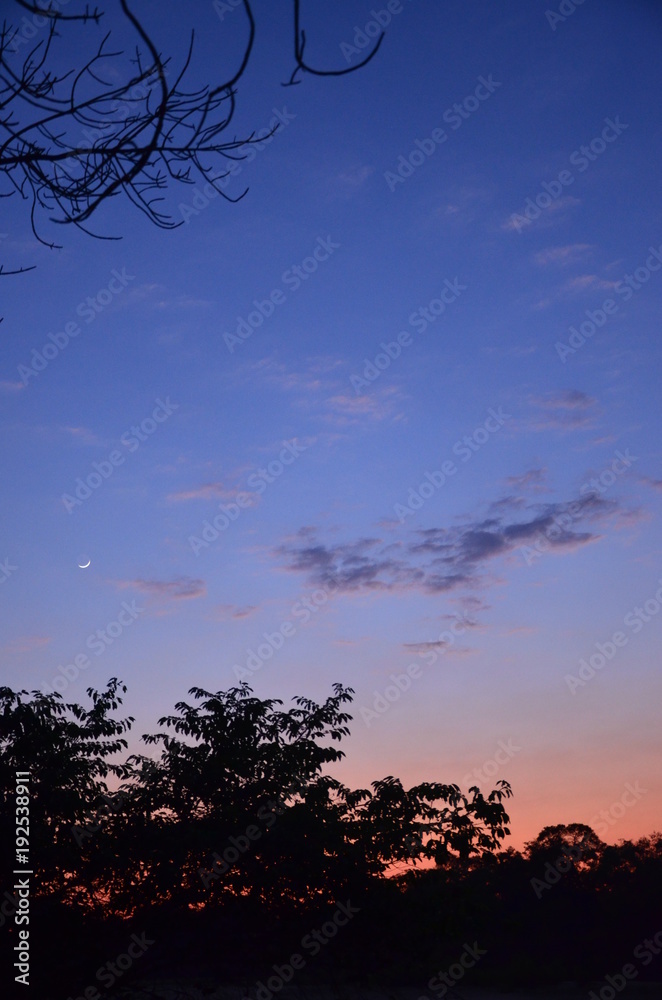 The African sunset. Zambia The African sunset. Zambia