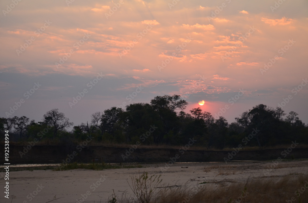 The African sunset. Zambia