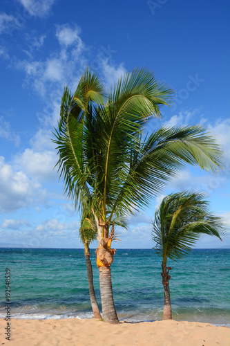 Napili  Hawaii