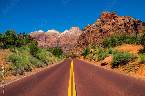 Road in Zion National Park