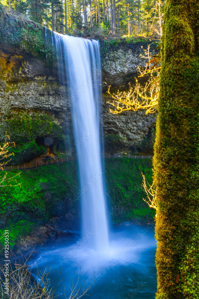 Fototapeta premium Silver Falls St Pk, OR