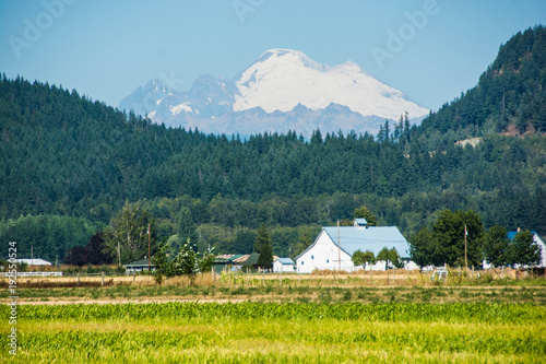 Barn with Mt Baker