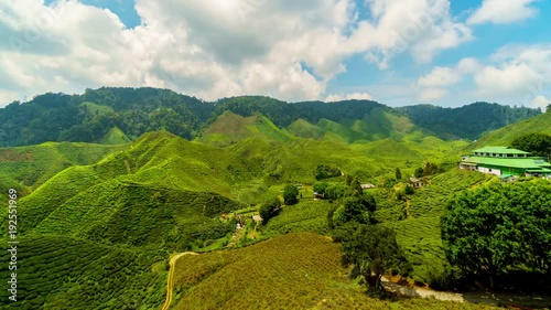 Fabulous clouds over tea plantation. 4k time-lapse 