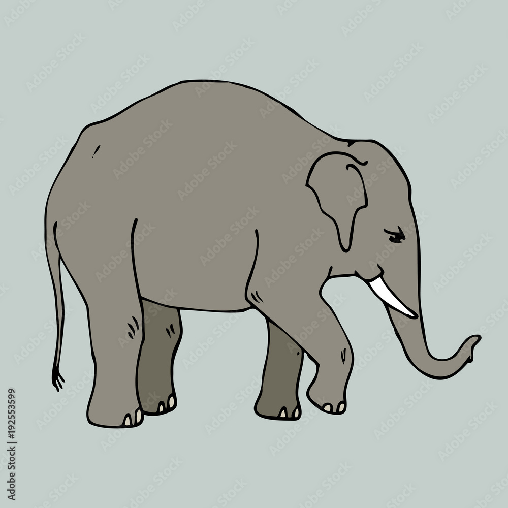 Fototapeta premium national animal thailand isolated elephant