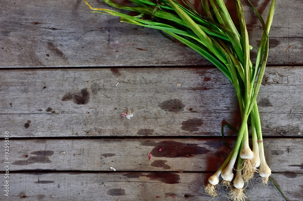 Mexican Green Onions on wooden background Mexican Green Onions on wooden background