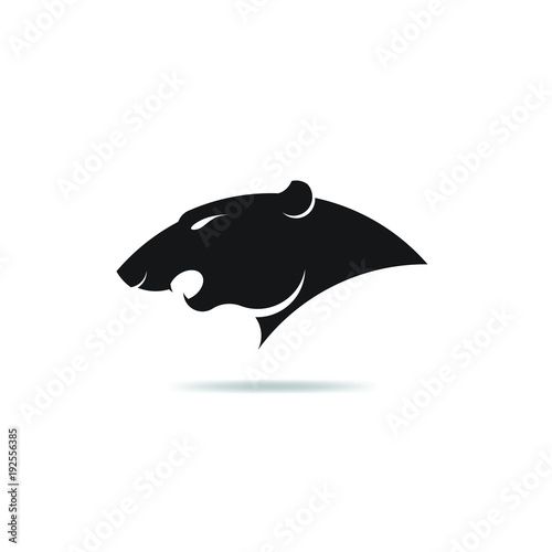 Icon Panther head Logo silhouette isolated on white backgroud,vector 