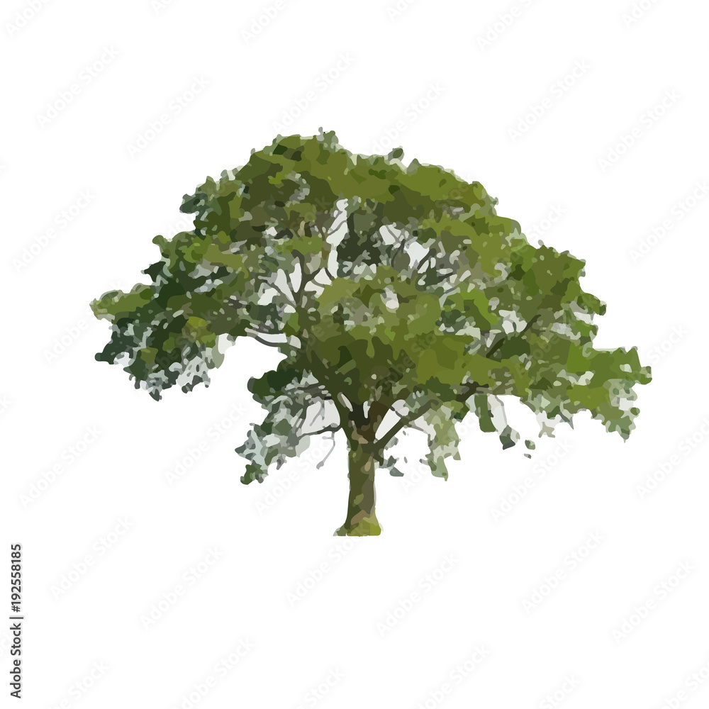 Vector Illustration of Tree