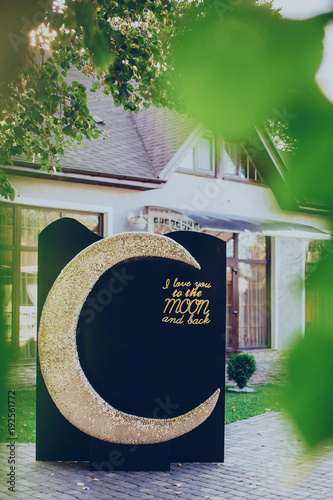 wedding decor background for a photo a month under a tree with gold moon and black background photo
