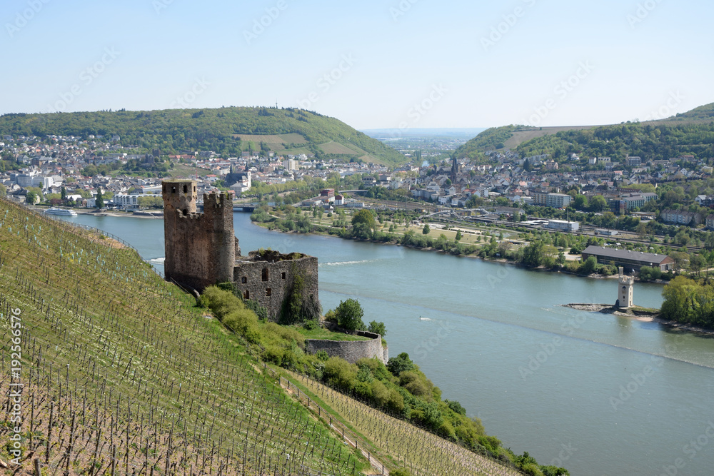 Obraz premium Ruine Ehrenfels mit Rhein und Bingen