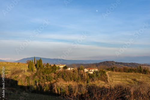 Fototapeta Naklejka Na Ścianę i Meble -  A vineyard called Friuli. Rosazzo at sunset.