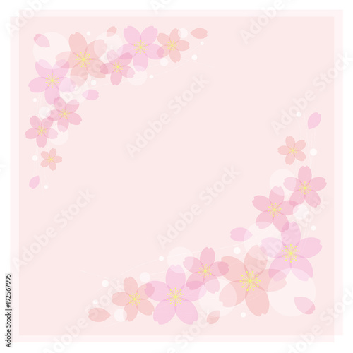桜の花 背景 / vector eps 10